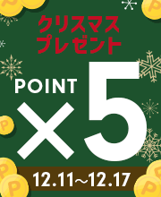 クリスマスプレゼント企画！ポイント5倍キャンペーン