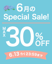 6月スペシャルセール