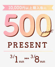 10,000円以上購入毎に500ポイントプレゼント！
