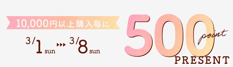 10,000円以上購入毎に500ポイントプレゼント！