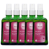 ワイルドローズオイル 100ml x 5 海外仕様パッケージ(ポンプ付）