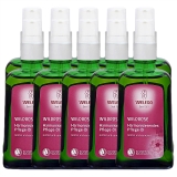 ワイルドローズオイル 100ml x 10 海外仕様パッケージ(ポンプ付)