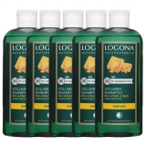 ボリュームシャンプー・ビール＆はちみつ 250ml x 5 お得な5個セット